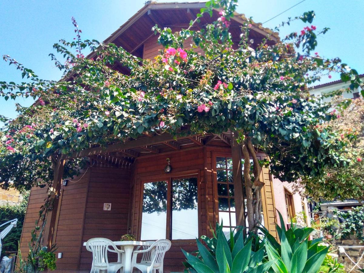 Вилла Casa Na Ilha Da Magia Флорианополис Экстерьер фото